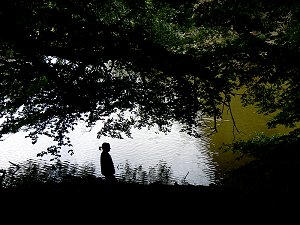 Weiher des angestauten Wiembecke-Baches