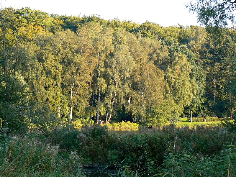 Teilweise naturbelassener Kurpark von Bad Schwartau