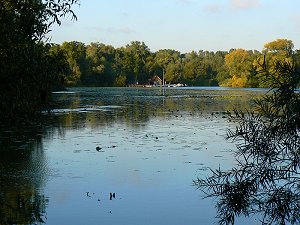 Tremser Teich in Lübeck