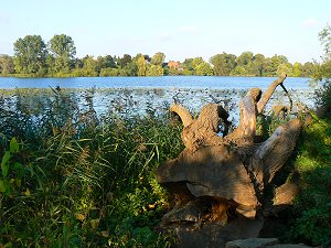 Tremser Teich an der Stadtgrenze zu Bad Schwartau