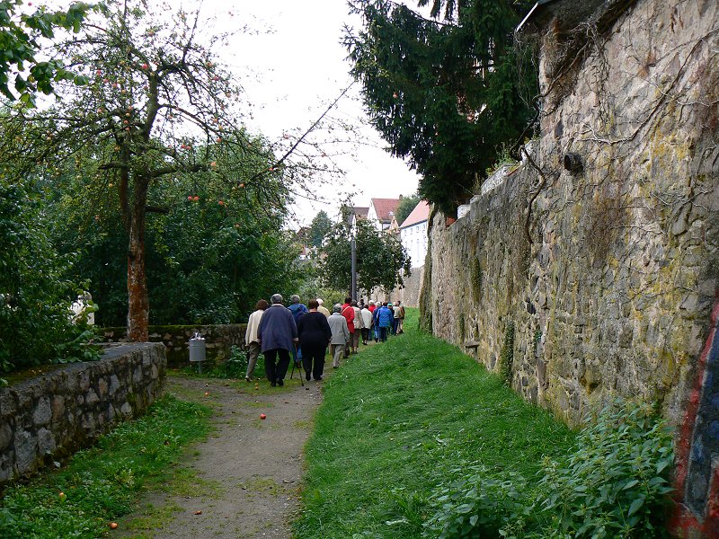 Zwingermauer und Hauptmauer (Stadtmauer)