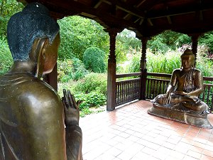 Ein Buddha in einem Gartentempel
