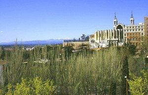 Die Almudena-Kathedrale in Madrid